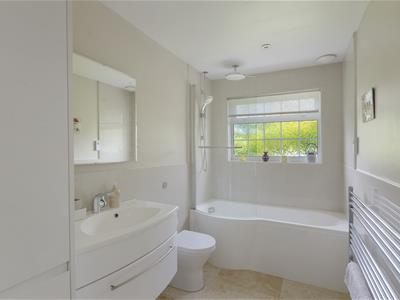 Picture 7